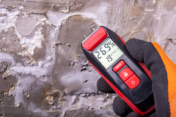 Home Mold Removal in Albany, MN