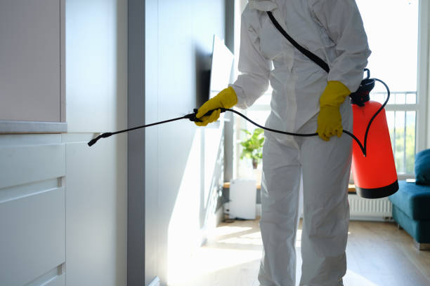 Best Commercial Mold Removal  in Albany, MN